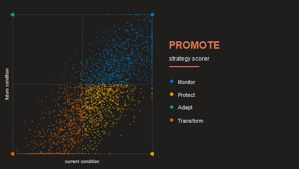 PROMOTE strategy scorer