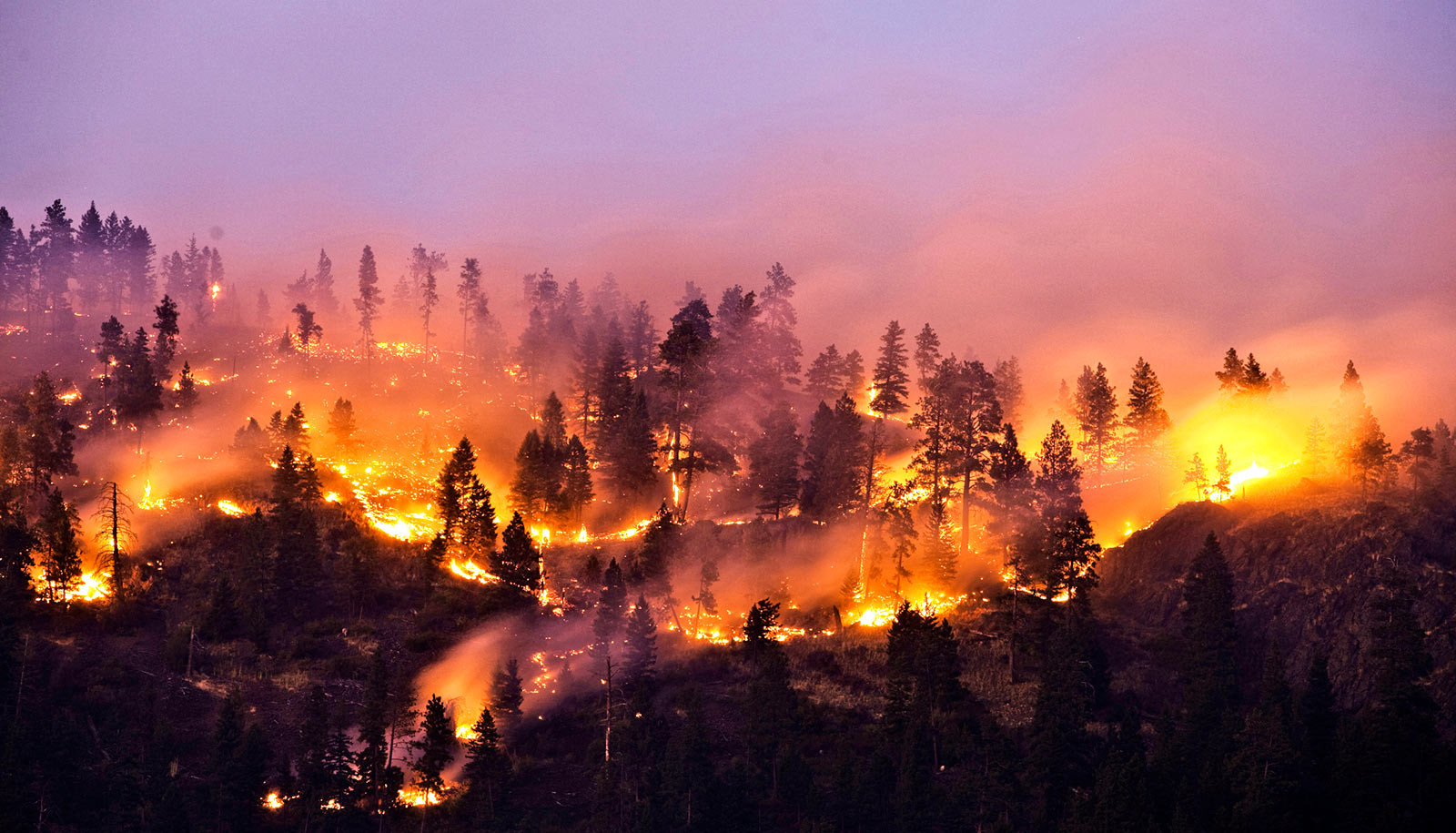 wildfire